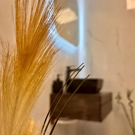 Apartment Bodega Ii *